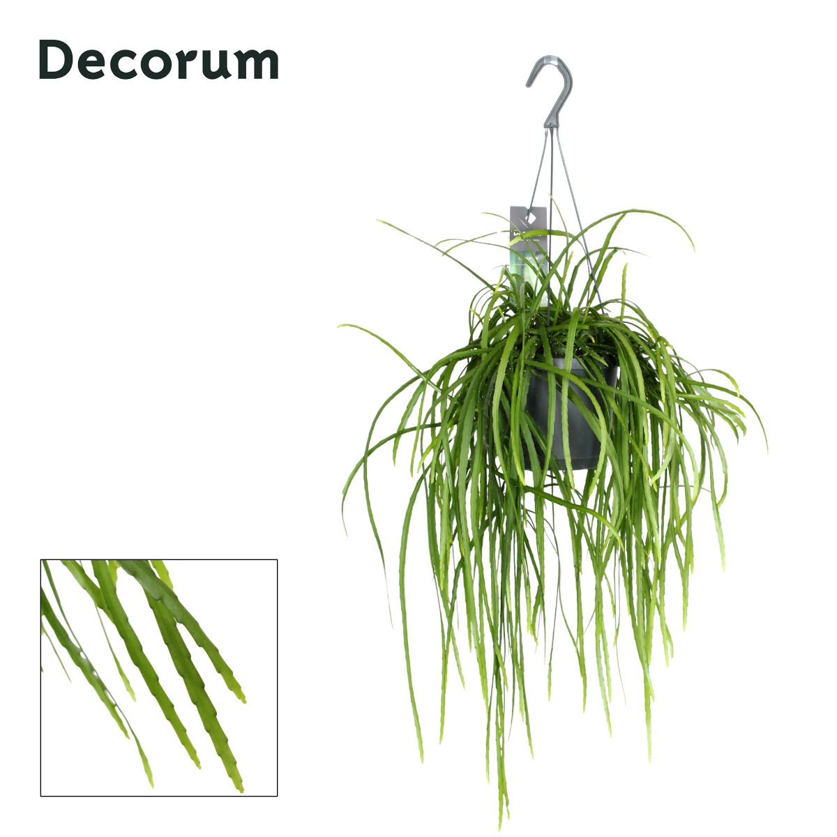 Main image on product details page