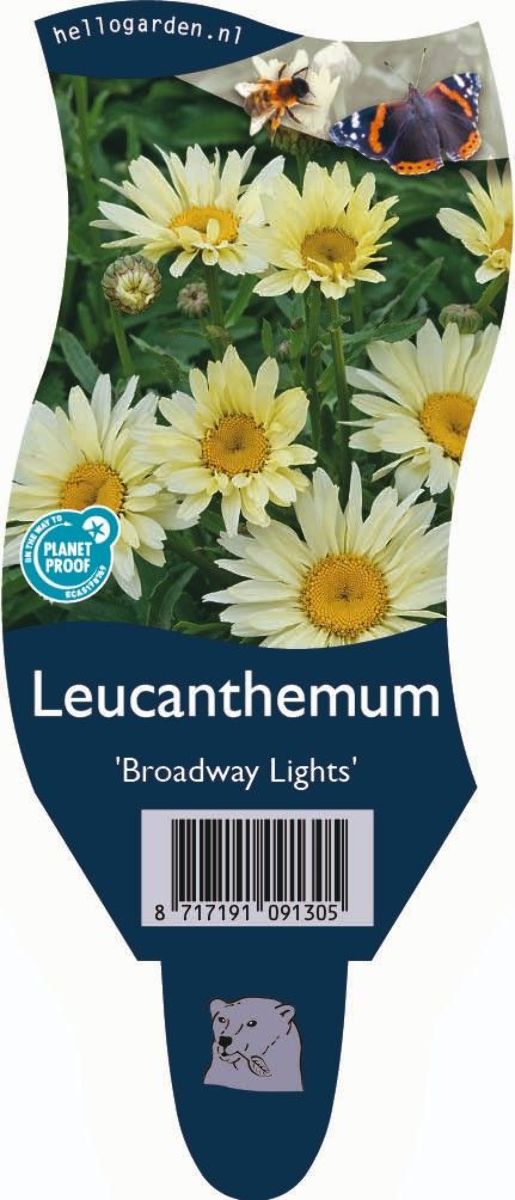 Main image on product details page