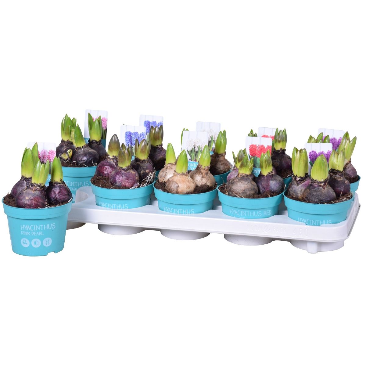 Main image on product details page