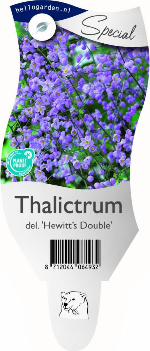 Main image on product details page