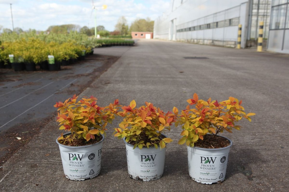 Main image on product details page