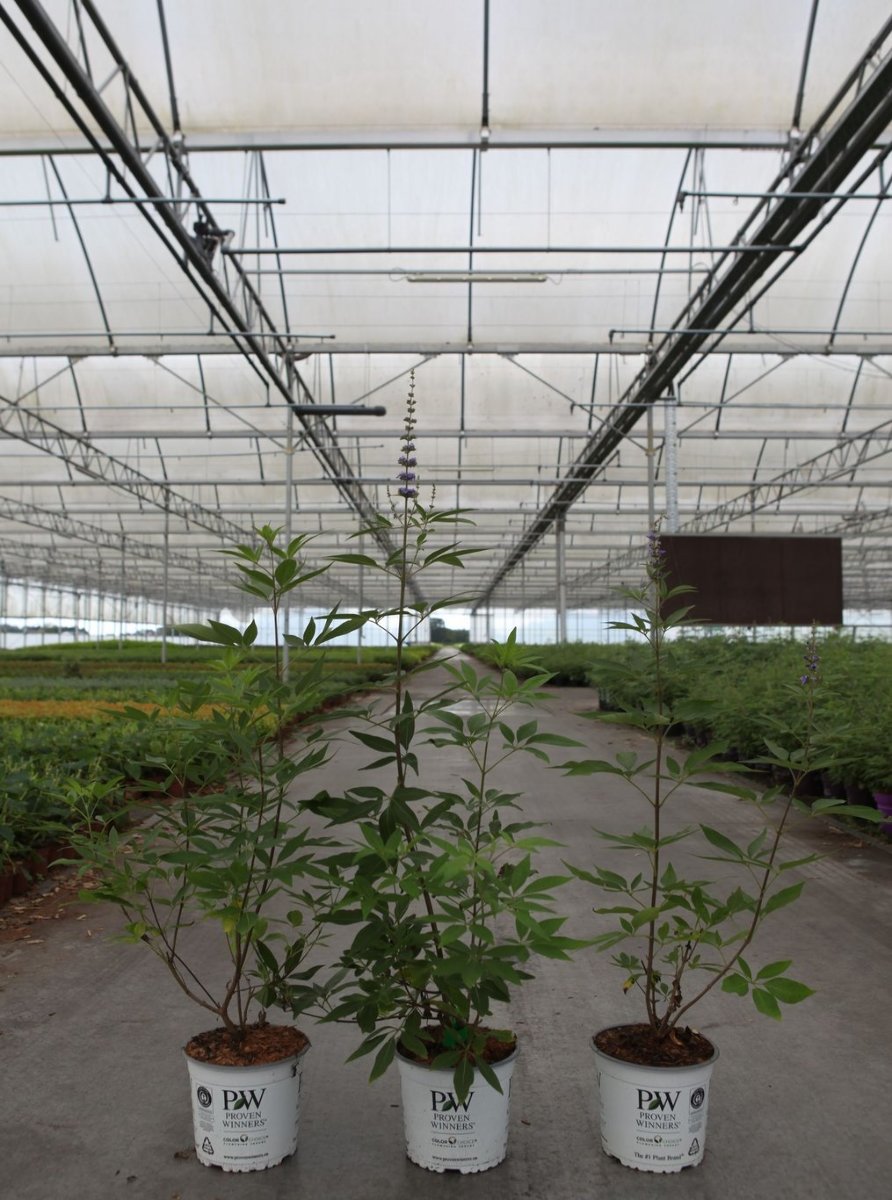 Main image on product details page