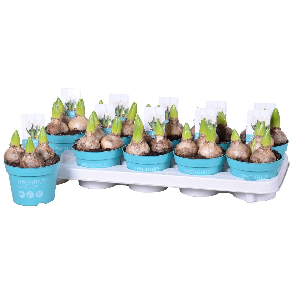 Main image on product details page