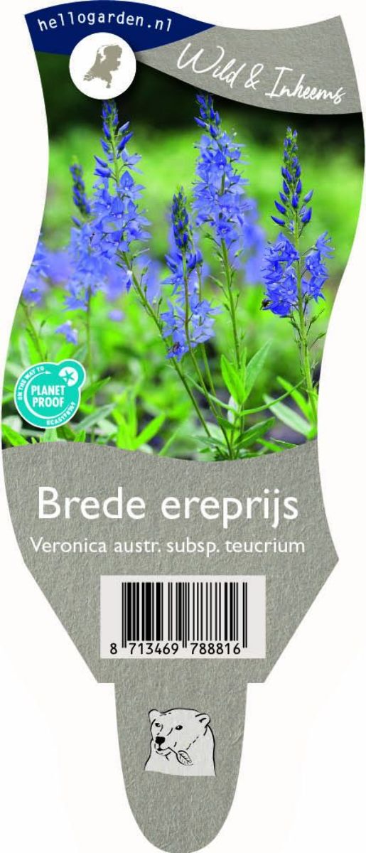 Main image on product details page