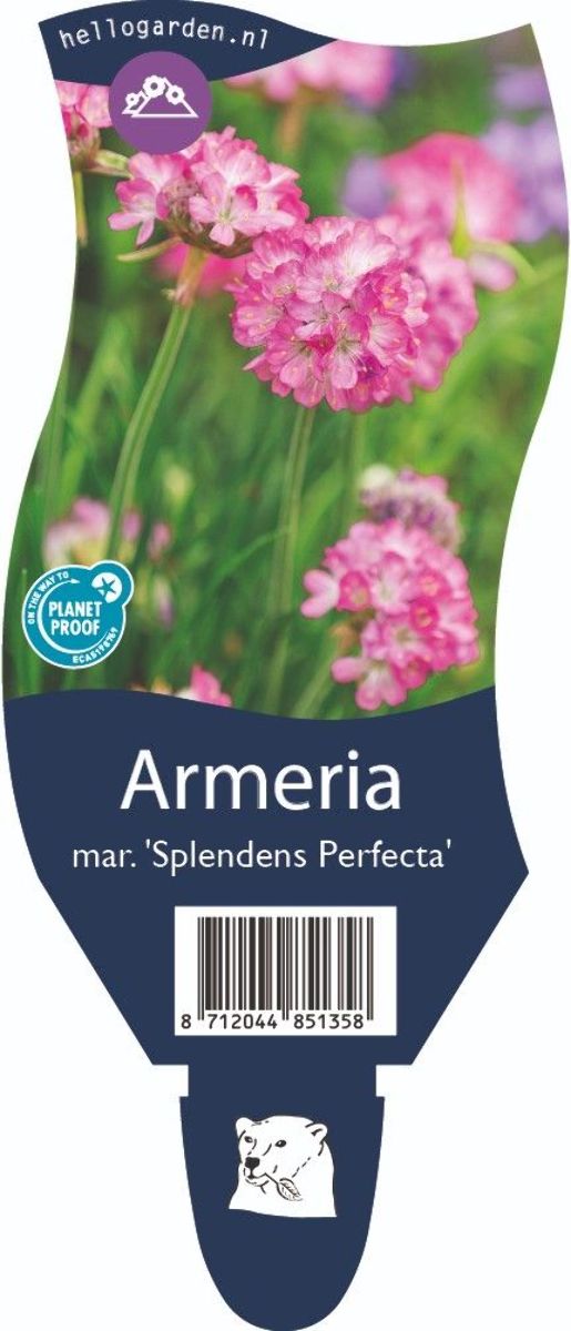 Main image on product details page