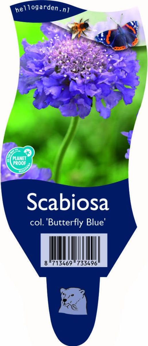 Main image on product details page